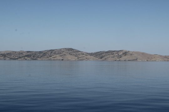 ai stratis